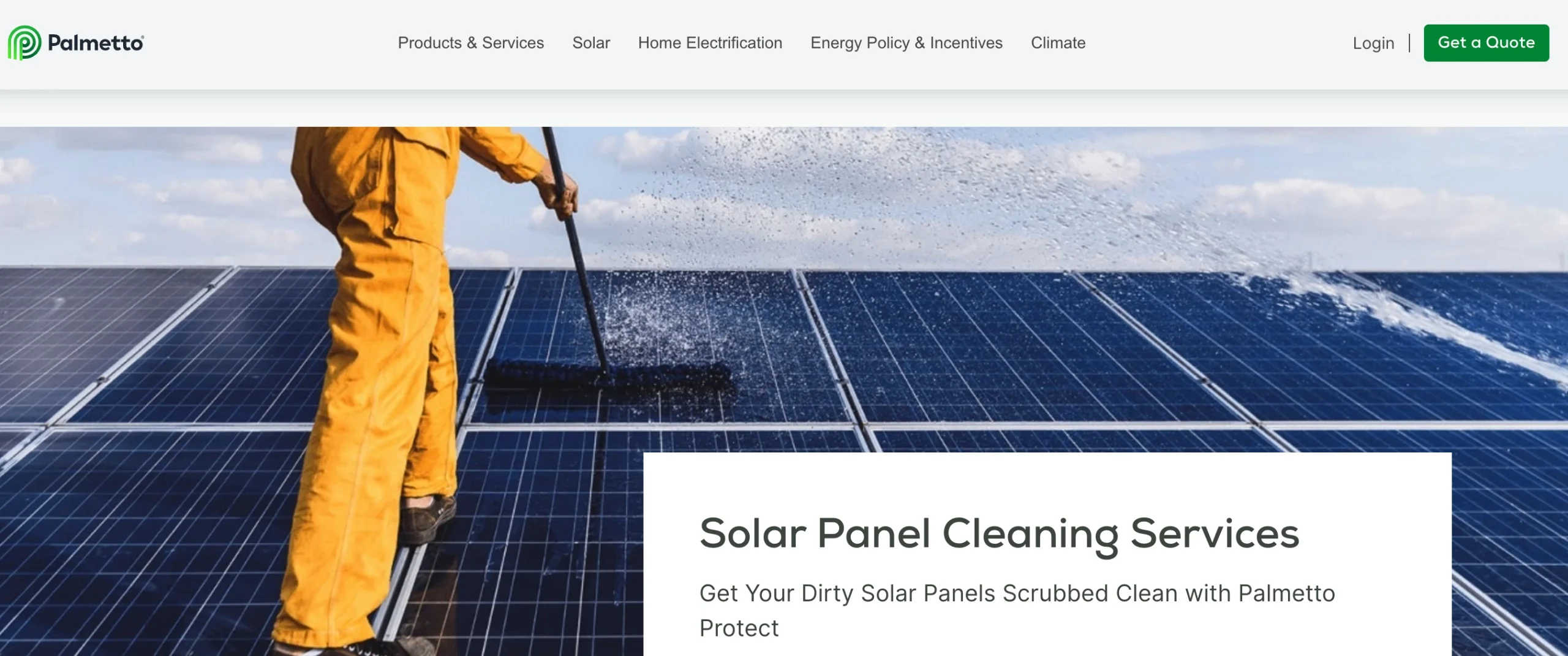 Palmetto main page with products and services