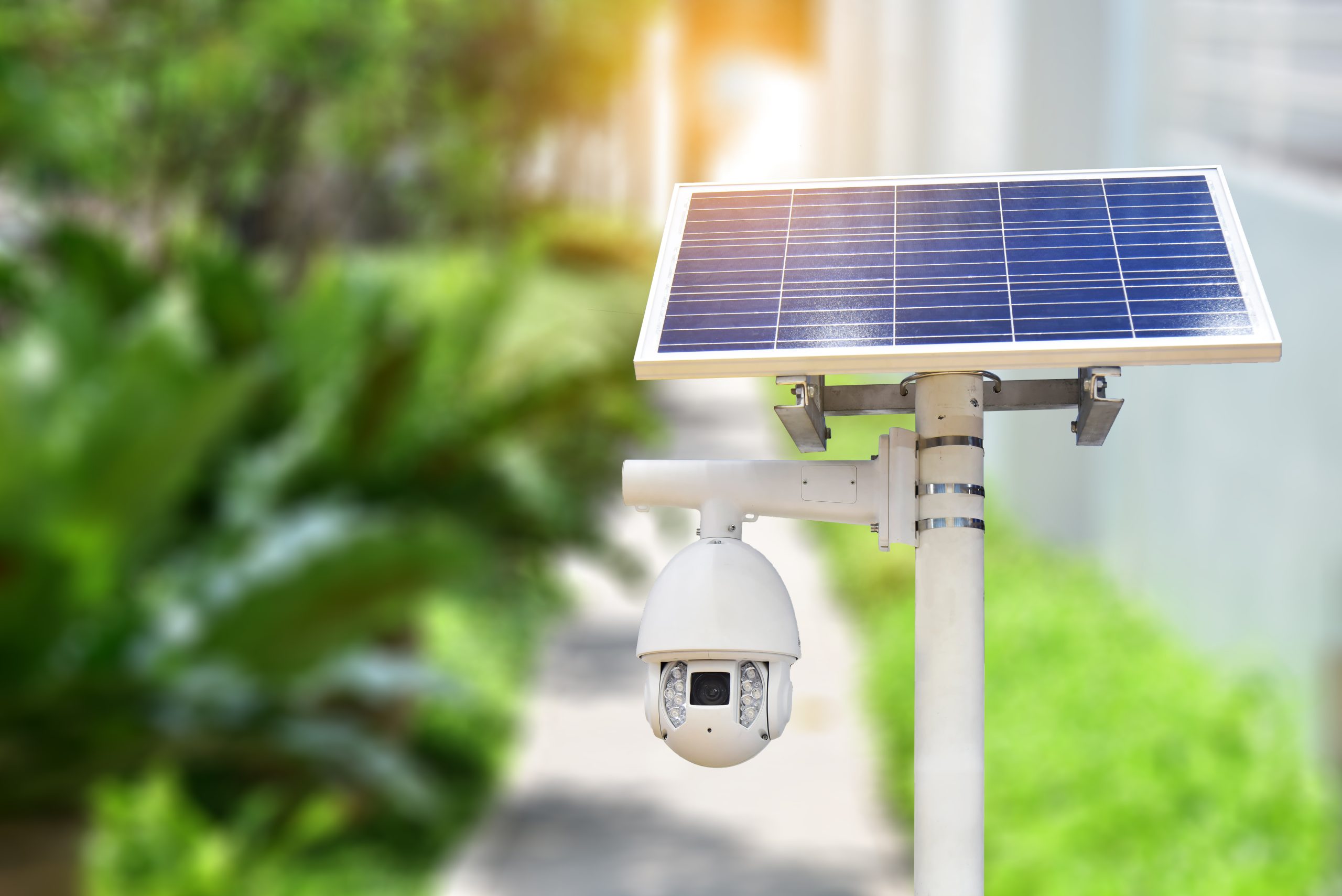 A solar-powered security camera placed outside to make sure the area outside is safe
