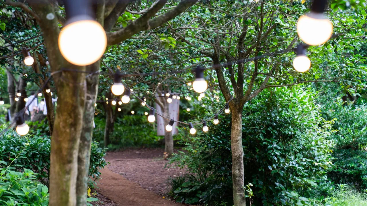 String solar lights for the pathway in the garden